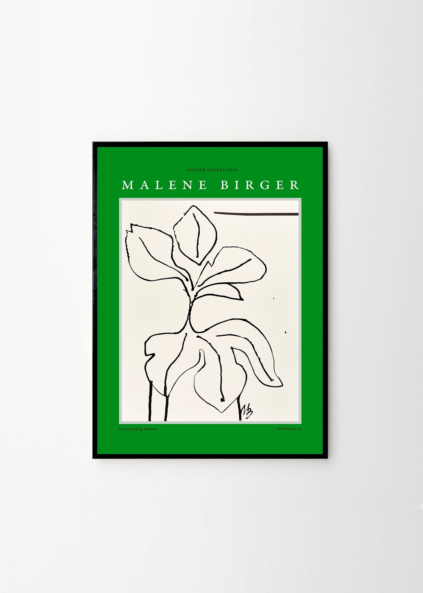 Flowers Drying by Malene Birger